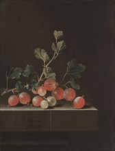 Gooseberries on a Table, 1701. Adriaen Coorte (Dutch, c. 1660-aft 1707). Oil on paper mounted on