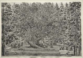Views of the Villa of Pratolino:  The Inhabited Tree. Stefano Della Bella (Italian, 1610-1664).