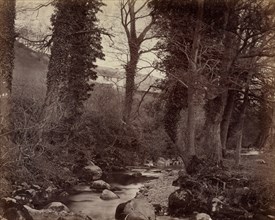 Untitled, c. 1859. John Lloyd (British, 1865). Albumen print from wet collodion negative; image: 15