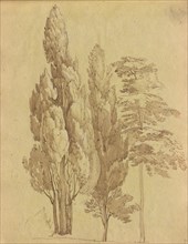 Album with Views of Rome and Surroundings, Landscape Studies, page 15a: Trees. Franz Johann