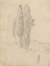 Album with Views of Rome and Surroundings, Landscape Studies, page 20a: Trees. Franz Johann