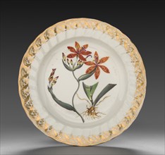 Plate from Dessert Service: Chinese Ixia, c. 1800. Derby (Crown Derby Period) (British). Porcelain;