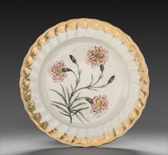 Plate from Dessert Service: Picatee Carnation, c. 1800. Derby (Crown Derby Period) (British).