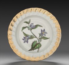 Plate from Dessert Service: Nettle Leaved Bell Flower, c. 1800. Derby (Crown Derby Period)