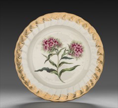 Plate from Dessert Service: Sweet William, c. 1800. Derby (Crown Derby Period) (British).