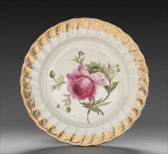 Plate from Dessert Service: Anemone, c. 1800. Derby (Crown Derby Period) (British). Porcelain;