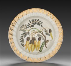 Plate from Dessert Service: Winged Podded Sophora, c. 1800. Derby (Crown Derby Period) (British).