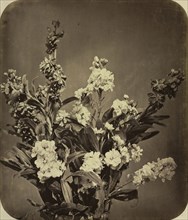 Bouquet, c. 1855. Adolphe Braun (French, 1812-1877). Albumen print, varnished, from wet collodion
