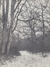 Road in the Forest, 1860-1863. Eugène Cuvelier (French, 1837-1900). Salted paper print from waxed