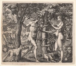Adam and Eve, late 1500s. Robert Boissard (French, 1570-aft 1603). Engraving; sheet: 12 x 14 cm (4