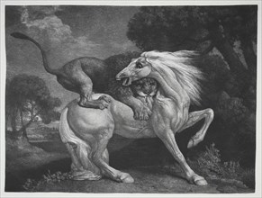 A Horse Attacked by a Lion, 1788. George Stubbs (British, 1724-1806). Etching and engraving