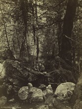 The Trail in West Gallatin Cañon, c. 1870s. William Henry Jackson (American, 1843-1942). Albumen