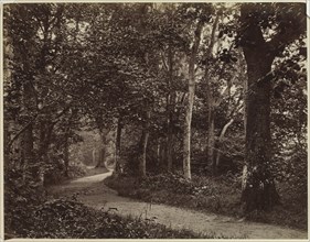 Untitled (Landscape), early 1860s. Unidentified Photographer. Albumen print from wet collodion