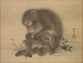 Monkeys, late 18th-early 19th century. Mori Sosen (Japanese, 1747-1821). Hanging scroll; ink and