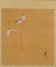 Leaf from Album of Seasonal Themes: Maple Leaves and Feather, 1847. Shibata Zeshin (Japanese,