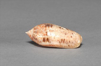 Offering Group: Small Shell, c. 800-1200(?). Mexico, Guerrero(?), San Jerónimo de Juárez,