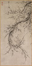 Prunus, 17th century. Attributed to Kano Eino (Japanese, 1631-1697). Hanging scroll; ink on paper;