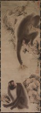 Monkeys, c. 1800. Gyokutei Katsu (Japanese). Hanging scroll; ink on paper; painting only: 120 x 40
