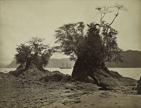 Islands in Limón Bay, 1871. John Moran (American, 1829-1902). Albumen print from wet collodion