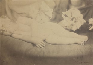 The Lily and the Lamb, c. 1865. Julia Margaret Cameron (British, 1815-1879). Albumen print from wet