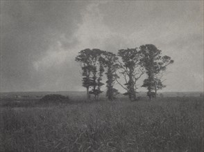 Untitled, c. 1900. William J. Mullins (American, 1860-1917). Platinum print; image: 7.6 x 10.1 cm