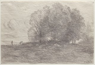 Group of Trees, 1858. Jean Baptiste Camille Corot (French, 1796-1875). Cliché-verre; sheet: 15.5 x
