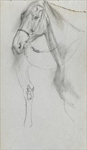 Sketchbook, page 55: Study for a Horse. Ernest Meissonier (French, 1815-1891). Graphite;