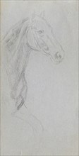 Sketchbook, page 07: Study of a Horse. Ernest Meissonier (French, 1815-1891). Graphite