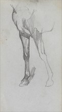 Sketchbook, page 66: Study of a Horse. Ernest Meissonier (French, 1815-1891). Graphite;