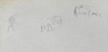 Sketchbook, page 20: Animal Study. Ernest Meissonier (French, 1815-1891). Graphite