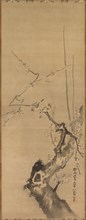 Sparrows on Blossoming Plum, 17th century. Attributed to Kano Tan’yu (Japanese, 1602-1674). Hanging