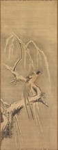 Chinese Bird on Snow-Laden Branch, 17th century. Kano Tan’yu (Japanese, 1602-1674). Hanging scroll;