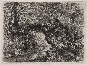 The Old Willow at a Brook, 1794. Georg von Dillis (German, 1759-1841). Etching