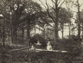 Landscape, 1856. Henry White (British, 1819-1903). Albumen print from wet collodion negative;
