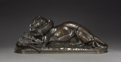 Tiger Devouring a Gavial, 1831. Antoine-Louis Barye (French, 1796-1875). Bronze; overall: 20.4 x 20