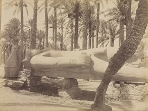 Statue of Ramesses at Saqqara, c. 1870s - 1880s. Antonio Beato (British, c. 1825-1903). Albumen