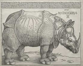 The Rhinoceros, 1515. Albrecht Dürer (German, 1471-1528). Woodcut; image: 23.8 x 30.1 cm (9 3/8 x