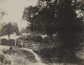 The Photographic Album for the Year 1855, pl. 31: Green Meadows, 1854. George Shadbolt (British,