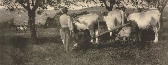 Camera Work: Ploughing Team, 1907. J. Craig Annan (British, 1864-1946). Photogravure