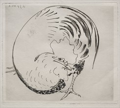 The High-Fired Service: Rooster, c. 1860. Félix Bracquemond (French, 1833-1914). Etching; sheet: 30