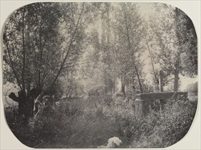 Untitled (Landscape with Dog), c. 1910. Unidentified Photographer. Platinum print; image: 16.8 x 22
