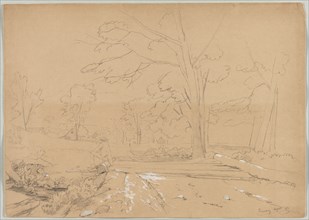 Landscape with Man Fishing, Conway, New Hampshire, 1851. David Johnson (American, 1827-1908).