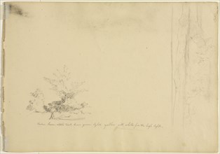 Landscape and Tree Studies (verso), c. 1851. David Johnson (American, 1827-1908). Graphite; sheet: