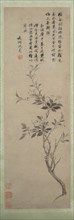 Flowering Crab Apple, 1500. Shen Zhou (Chinese, 1427-1509). Hanging scroll, ink on paper; image:
