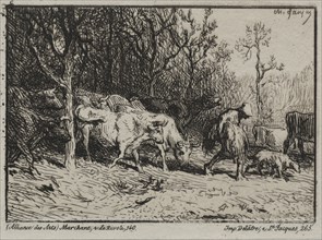 Le Vacheur. Charles-Émile Jacque (French, 1813-1894). Etching ; sheet: 13.7 x 18.4 cm (5 3/8 x 7