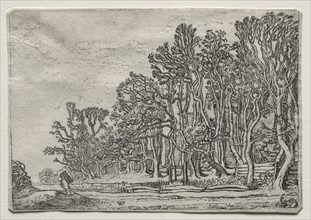 The Set of the Landscapes: Two Plank-Hedges, 1616. Willem Pietersz Buytewech (Dutch, 1591/92-1624).