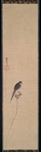 Bird on a Lotus Bud, 1600s. Kano Tan’yu (Japanese, 1602-1674). Hanging scroll, ink on paper;