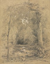 Forest Interior, c. 1870. John Henry Hill (American, 1839-1922). Graphite with white heightened ;