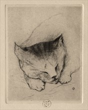 Six Etchings: Head of a Kitten, 1895. Paul Gachet (French, 1828-1909). Etching and drypoint; sheet: