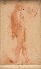 Study of a Standing Male Nude, with a Study of Head in Three-Quarter Profile, c. 1640. Cecco Bravo